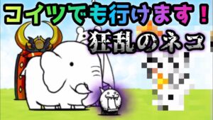 狂乱のネコ　今ではコイツでも行けます　にゃんこ大戦争