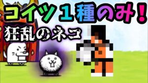 狂乱のネコ　コイツ１枠のみで攻略　にゃんこ大戦争