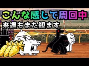 【伝説のにんじん】来週もまた観ます　周回風景　にゃんこ大戦争