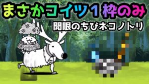 開眼のちびネコノトリ　遂にコイツ１枠で攻略　にゃんこ大戦争