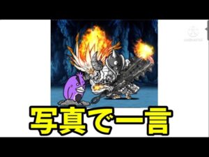 写真で一言【にゃんこ大戦争】