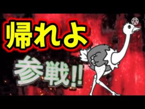 強すぎる敵キャラ全員参戦！【にゃんこ大戦争】