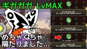 にゃんこ大戦争 ギガガガLvMAX 周回128回目... 本能玉Ｓ獲得！