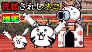 【にゃんこ大戦争】なんじゃこのネコ！限定キャラ洗脳されしネコのビジュアルが最高すぎる…！