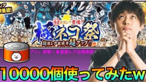 【にゃんこ大戦争】クリスマスイベント来たのでネコ缶10000個使ってみたwww