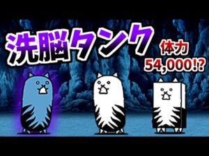 【味方化2体目】 洗脳されしタンクネコ / 洗脳されしネコカベ 性能紹介　【にゃんこ大戦争】