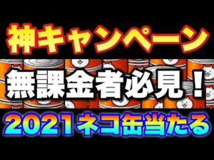 【実況にゃんこ大戦争】神キャンペーンきたぞ！２０２１ネコ缶当たる！？