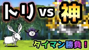 狂乱のトリ vs 神　タイマン勝負してみた！　にゃんこ大戦争
