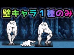 開眼のちびキモネコ　まさかの壁キャラ1種のみ！　にゃんこ大戦争