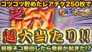 【スマホ版実況】コツコツ貯めたレアチケット250枚で超極ネコ祭250回ガチャしたらまさかの超激レア祭り！？【にゃんこ大戦争】
