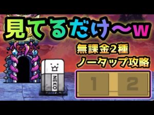 開眼のちびタンク  無課金2種で見てるだけw   にゃんこ大戦争