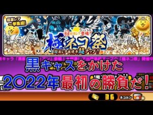 【にゃんこ大戦争】ついに…限定が!！…　36連で勝負や!！