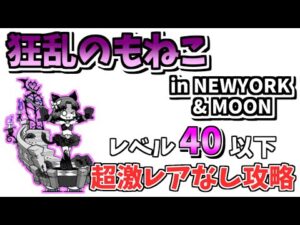 【にゃんこ大戦争】狂乱のもねこ降臨（in NEWYORK＆MOON）を超激レアなし低レベル攻略【The Battle Cats】