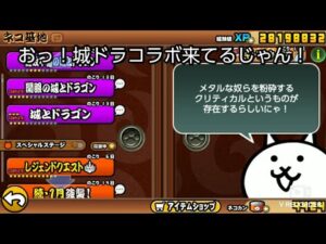 またお前かよ...【にゃんこ大戦争】