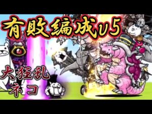 有敗編成v5  VS  大狂乱のネコ【にゃんこ大戦争】