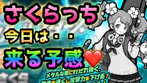 メタルバスターズ  JKのさくらっち狙い❤️ にゃんこ大戦争