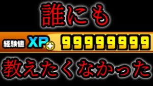 XPがカンストすると…？　にゃんこ大戦争