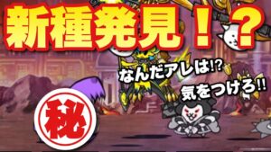 【実況にゃんこ大戦争】宇宙ゾンビを討伐してたら新種を発見「なんだコイツは！気をつけろ！」クリムゾン星、チョイバトロン星、メルトズ編