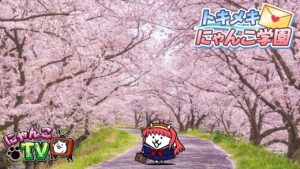 【にゃんこTV】トキメキにゃんこ学園後編とアプデ情報にゃ！【にゃんこ大戦争公式】