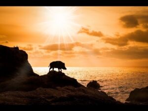 【にゃんこ大戦争】起きただけ偉い　早朝ログインボーナス　二日目