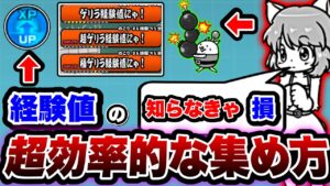 【にゃんこ大戦争】知らなきゃ''絶対''に損！''効率的''な''経験値''の集め方を徹底解説！【にゃんこ大戦争初心者】【リュウの実況部屋】
