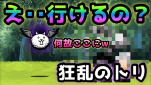 狂乱のトリ　超場違いなアイツのみw   にゃんこ大戦争