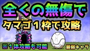 ここなら無傷で謎のタマゴ１体でも行けますw   でも１枠で攻略w   にゃんこ大戦争
