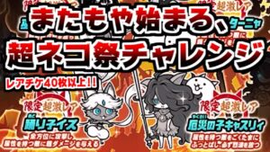 【にゃんこ大戦争】レアチケ40枚以上で挑む超ネコ祭！超ネコ祭チャレンジ卒業王手なるか！？【本垢実況Re#1404】