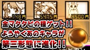 【にゃんこ大戦争】やっと手に入れた金マタタビの種！進化させるのはもちろんあのキャラ！【本垢実況Re#1405】