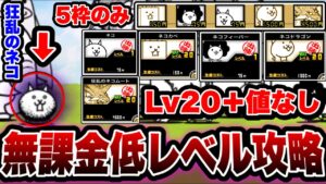【にゃんこ大戦争】''狂乱のネコ''に勝てない人''必見！狂乱のネコに''勝てる''無課金低レベル攻略''を徹底解説！【にゃんこ大戦争初心者】【狂乱のネコ降臨】【暗黒憑依】【超激ムズ】