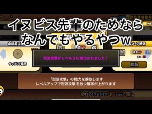 イヌビス先輩のためならなんでもやるやつw  にゃんこ大戦争