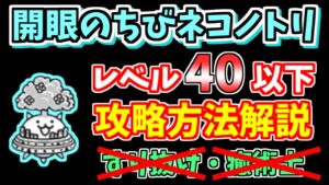 【にゃんこ大戦争】開眼のちびネコノトリ襲来（ちびネコノトリ進化への道）を低レベルで簡単攻略【The Battle Cats】