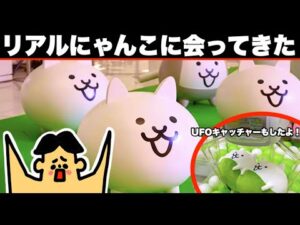 リアルで突撃にゃんこ大戦争に行ってみた！UFOキャッチャーでマメマメにゃんこも欲しい！ドイヒーくんとはちゃめちゃ千葉・幕張イオンモール旅行