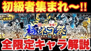 【実況にゃんこ大戦争】極ネコ祭ガチャがきたぞ！全限定キャラ解説するから初級者集まれ‼︎（※リセマラ勢も必見）