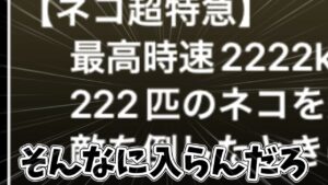 これおかしすぎるだろ[にゃんこ大戦争]