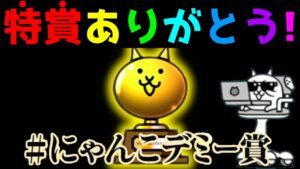 特賞ありがとうございます！にゃんこデミー賞を振り返ってみた　にゃんこ大戦争