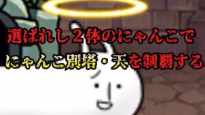 【にゃんこ大戦争】選ばれし２体のにゃんこで制覇する【にゃんこ別塔・天】