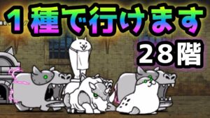 28階   ココ、１種で行けます　にゃんこ大戦争