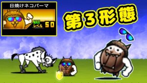 日焼けネコパーマ 第3形態 性能紹介【にゃんこ大戦争】