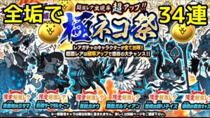 極ネコ祭 全垢で35連！【にゃんこ大戦争】