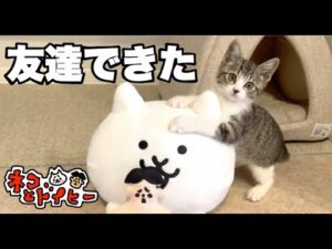 #4 ネコとドイヒーくん「まめにゃんがにゃんこ大戦争の猫と友達に」