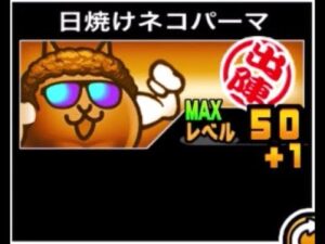 【にゃんこ大戦争】違う、そうじゃない。強くはなったんだけど…　日焼けネコパーマのトリセツ　#592