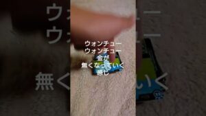 にゃんこ大戦争ウエハース に6000円かけたユーチューバーれにな