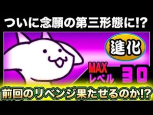 【スマホ版サブアカ実況】ついにあのキャラを第三形態に進化なるか！！！開眼のちびトカゲに再挑戦でリベンジなるか！？【にゃんこ大戦争】