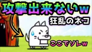 狂乱のネコ  わんこすら攻撃出来ない２枠のみw   にゃんこ大戦争