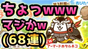 ねこのなつやすみ   68枚回した結果・・😭　にゃんこ大戦争