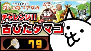 【にゃんこ大戦争】これだけ伝説の虫取り網あれば古びたタマゴも出てくれるだろｗｗｗ【本垢実況Re#1467】