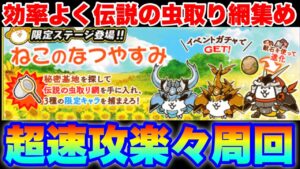 【実況にゃんこ大戦争】ねこのなつやすみ楽々速攻周回！効率よく伝説の虫取り網集め！