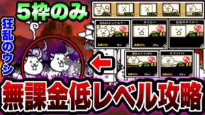 【にゃんこ大戦争】''狂乱のウシネコ''に勝てない人必見！狂乱のウシに勝てる''無課金低レベル攻略''を徹底解説！【にゃんこ大戦争初心者】【ヘッドシェイカー超激ムズ】【狂乱のウシ降臨】