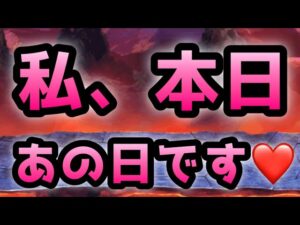 私、今日あの日です❤️  にゃんこ大戦争